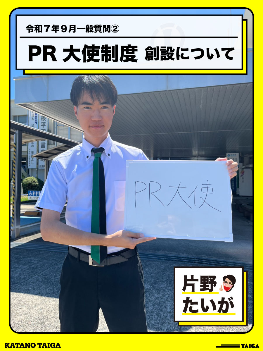 一般質問 :: 片野 たいが